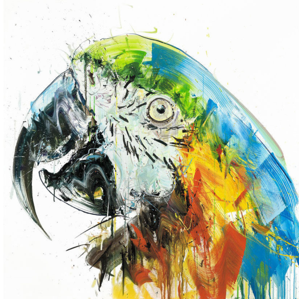 Dave White parrot II