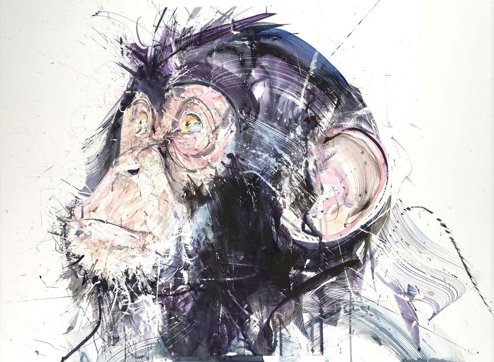 Chimp III by Dave White