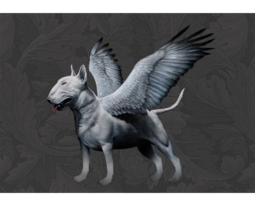 Pegasus Terrier by Dylan Floyd