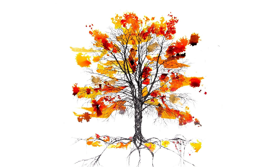 Copper Beech Web Orange and Yellow by Rob Wass